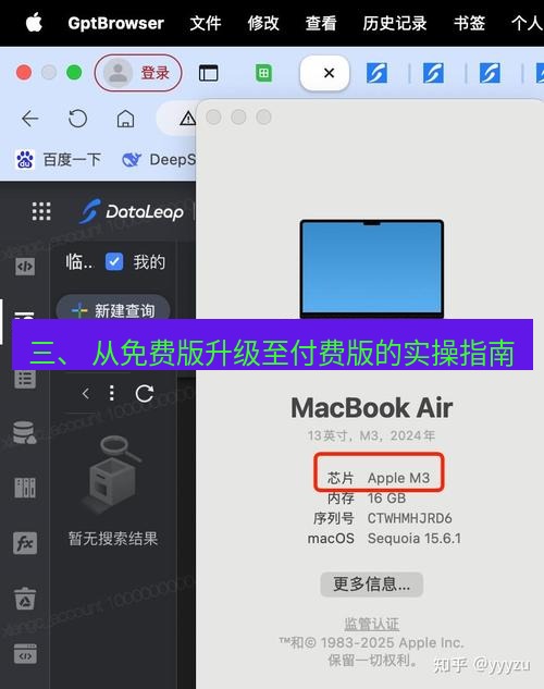 helloworld翻译官网 三、 从免费版升级至付费版的实操指南