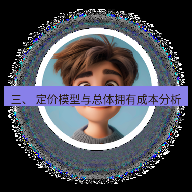 helloworld翻译官网 三、 定价模型与总体拥有成本分析